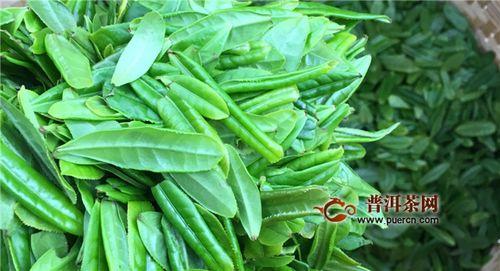 六安裕安吃瓜视频,揭秘当地特色美食背后的故事