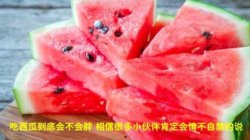 吃瓜会不会吃胖呢视频,揭秘吃瓜不会吃胖的秘诀