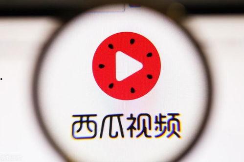 八卦吃瓜口播视频大全,八卦吃瓜达人带你领略口播视频盛宴