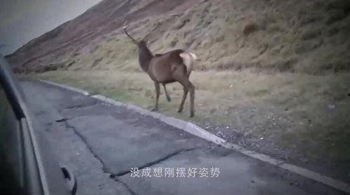 摄影师拍吃瓜视频,摄影师捕捉吃瓜瞬间