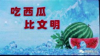 吃瓜社团宣言大全视频